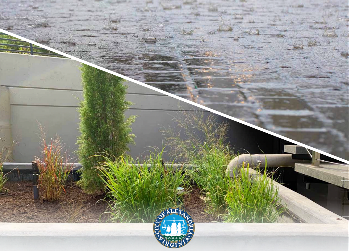 Here's how to cut your Alexandria stormwater fee in half