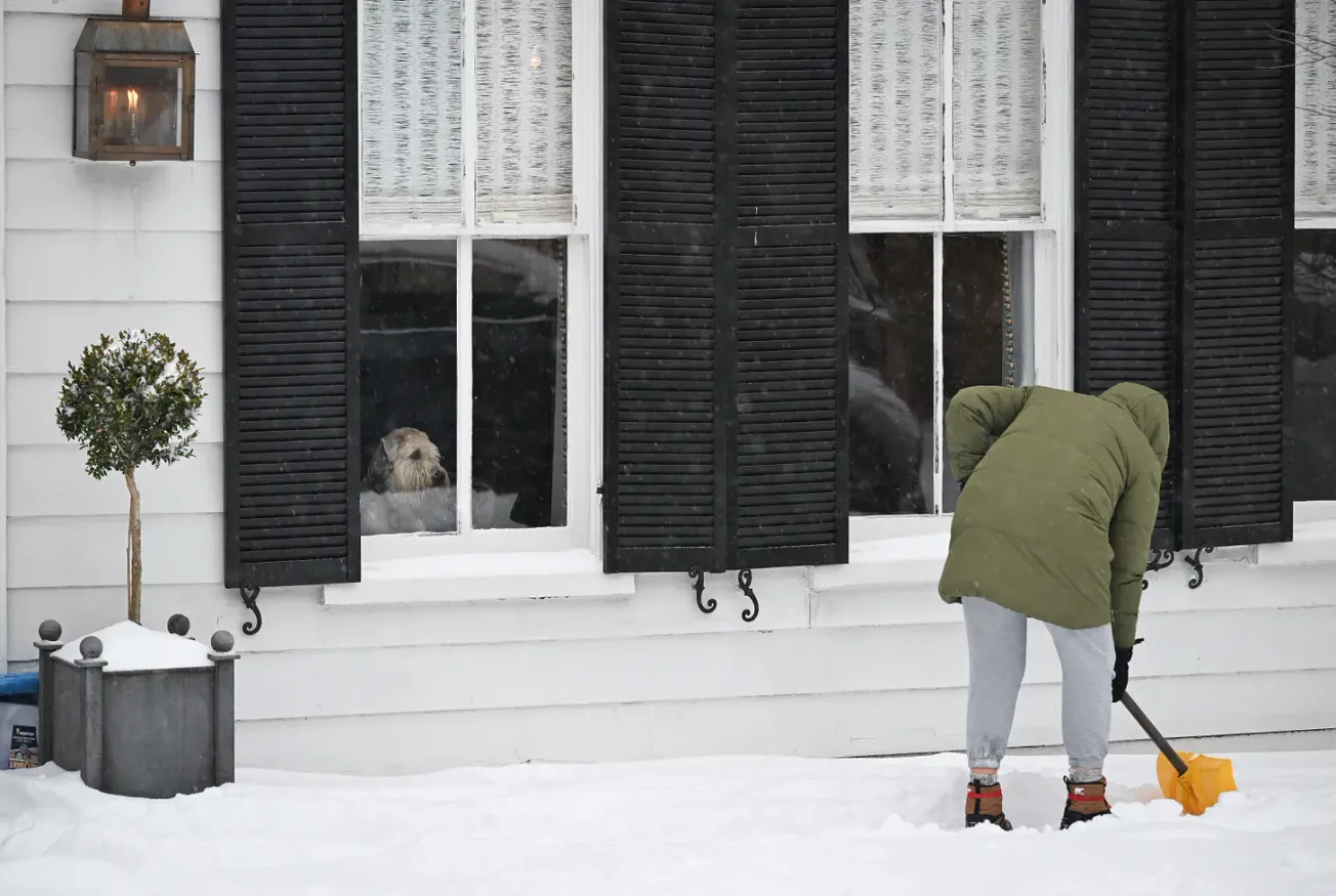 The Alexandria Brief: Tuesday, January 27