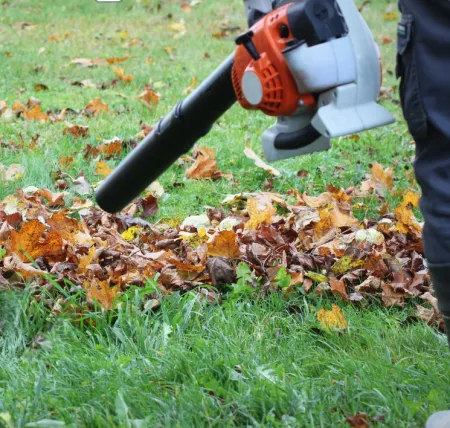 Alexandria's last fall with gas-powered leaf blowers draws to close
