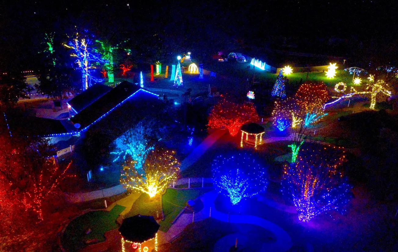 What's happening in Alexandria: Thursday, December 4