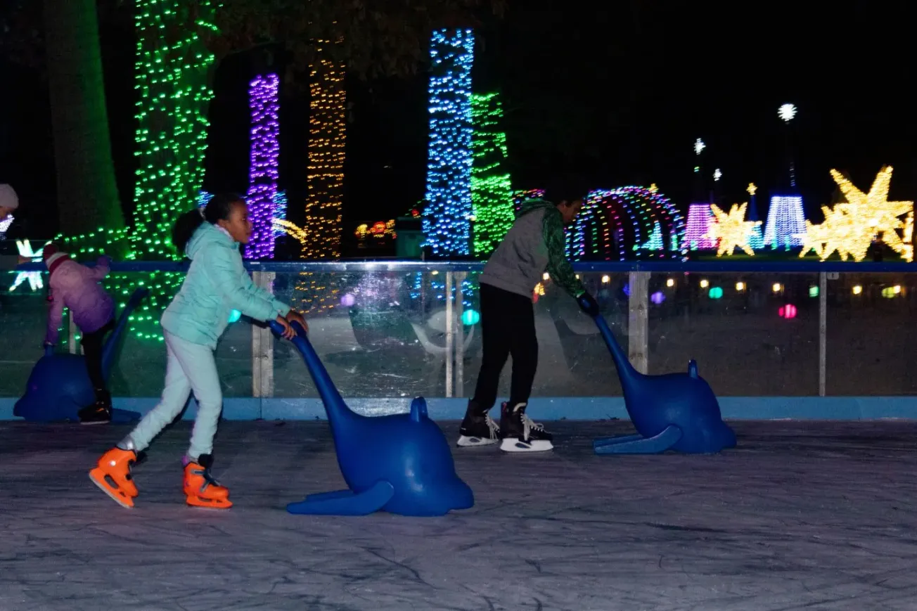 What's Happening in Alexandria - Tuesday, November 18