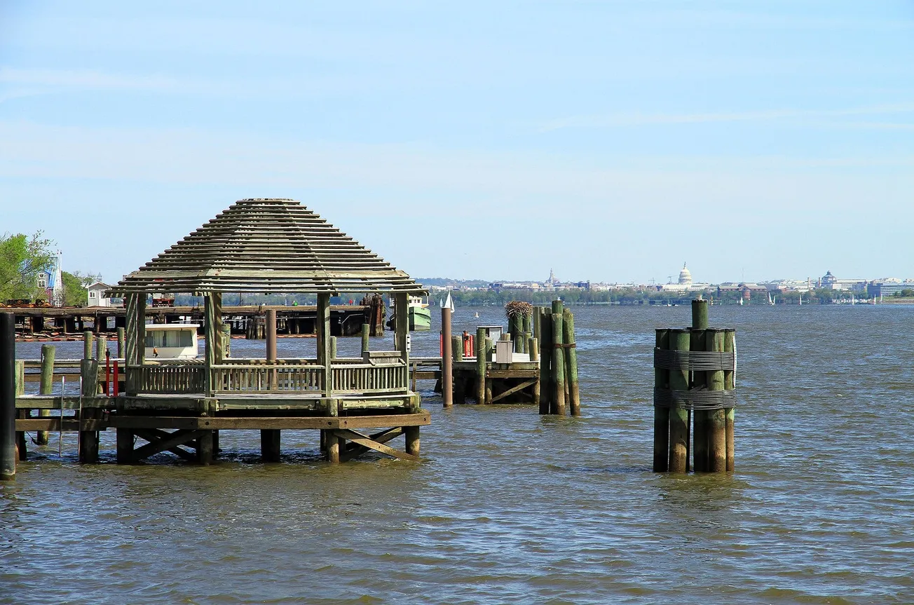 Regional officials briefed on Potomac sewage crisis. The Virginia data tells a more specific story for Alexandria.
