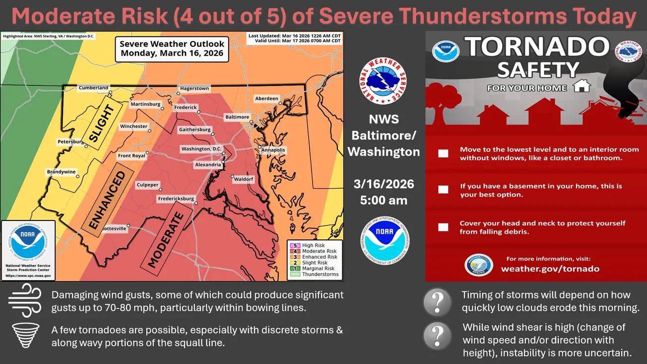 Tracking the storm: Power outages, closures, and developments across Alexandria
