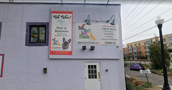 Your Dog's Best Friends owner apologizes, says he 'misjudged' groomer convicted of animal abuse