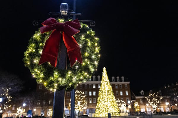 Alexandria to hold annual holiday tree lighting Nov. 22