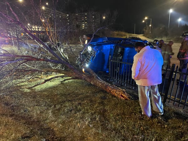 SUV rolls over, knocks down tree in Duke Street crash near Brenman Park